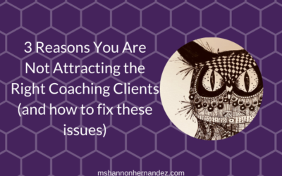 3 Reasons You Are Not Attracting the Right Coaching Clients (and how to fix these issues)