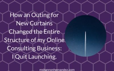 How an Outing for New Curtains Changed the Entire Structure of my Online Consulting Business: I Quit Launching.